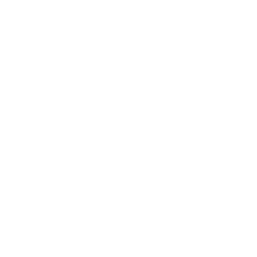 saumon saumon